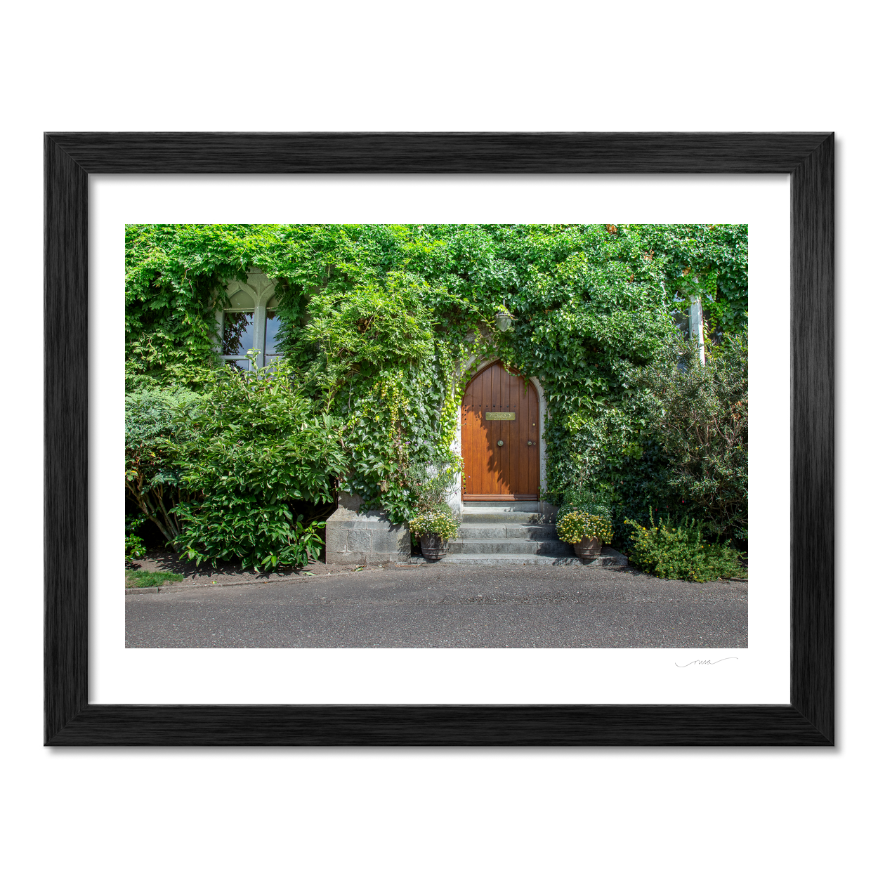 Nua Photography Print Ivy-Covered Cottage with Arched Wooden Door, Co. Cork Ivy-Covered Cottage Arched Door Cork Print | Nua Photography
