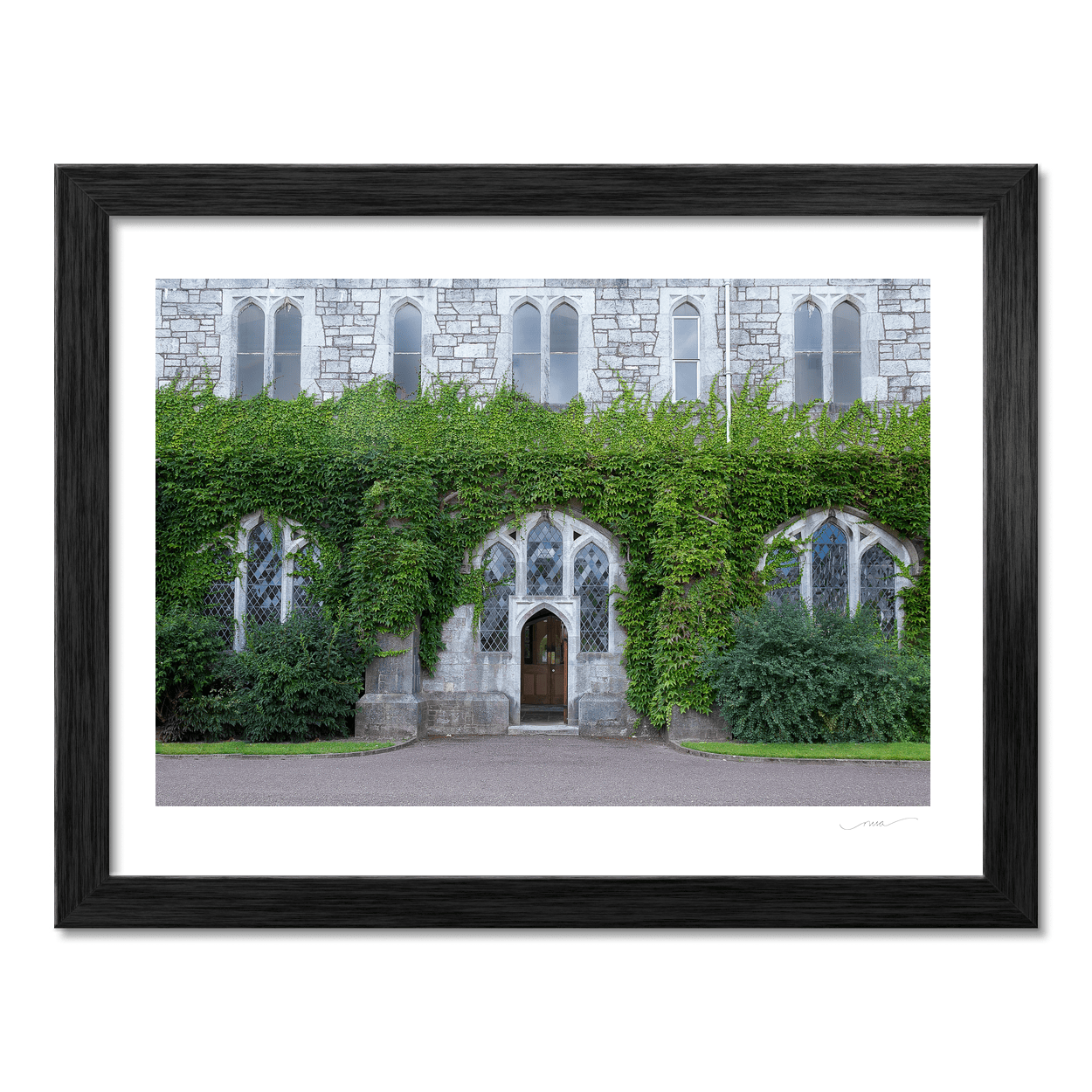 Nua Photography Print Ivy-Clad Gothic Stone Building, Co. Cork Ivy-Clad Gothic Stone Building Cork Print | Nua Photography