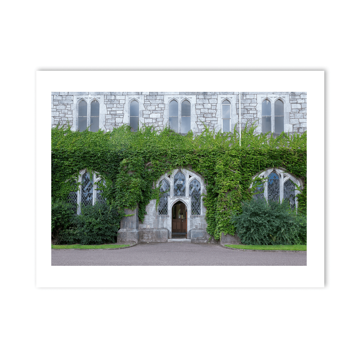 Nua Photography Print Ivy-Clad Gothic Stone Building, Co. Cork Ivy-Clad Gothic Stone Building Cork Print | Nua Photography
