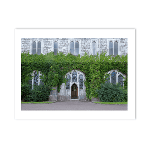 Nua Photography Print Ivy-Clad Gothic Stone Building, Co. Cork Ivy-Clad Gothic Stone Building Cork Print | Nua Photography