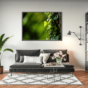 ivy-leaf-sunlight-tree-bark-nature BFW