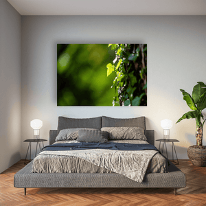 ivy-leaf-sunlight-tree-bark-nature Pano