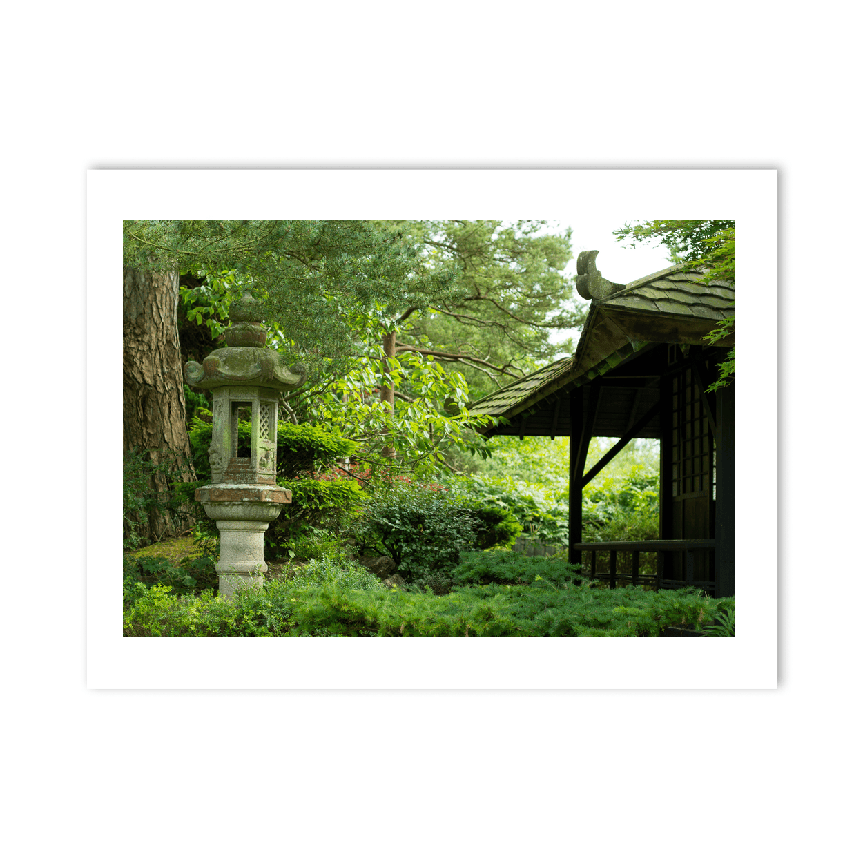 Nua Photography Print Japanese Gardens Stone Lantern and Tea House, Kildare Japanese Gardens Stone Lantern Tea House Print | Nua Photography