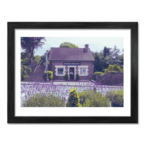 Nua Photography Print Kenmare Book-Shop with Lavender in Bloom, Co. Kerry Kenmare Book-Shop with Lavender Print | Nua Photography