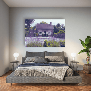 Nua Photography Print Kenmare Book-Shop with Lavender in Bloom, Co. Kerry Kenmare Book-Shop with Lavender Print | Nua Photography
