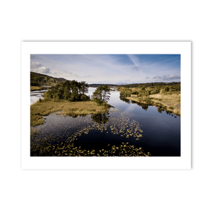 Nua Photography Print Kerry Lake with Lily Pads and Pine Island Aerial View, Co. Kerry Kerry Lake Lily Pads Pine Island Aerial Print | Nua Photography