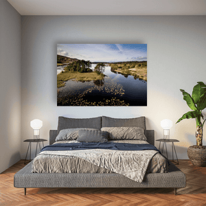 Nua Photography Print Kerry Lake with Lily Pads and Pine Island Aerial View, Co. Kerry Kerry Lake Lily Pads Pine Island Aerial Print | Nua Photography