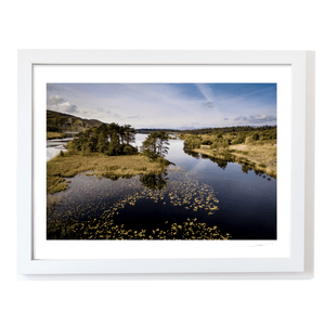 Nua Photography Print Kerry Lake with Lily Pads and Pine Island Aerial View, Co. Kerry Kerry Lake Lily Pads Pine Island Aerial Print | Nua Photography