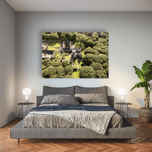 Nua Photography Print Lambay Island Castle Aerial View Through Woodland, Co. Dublin Lambay Island Castle Aerial View Print | Nua Photography