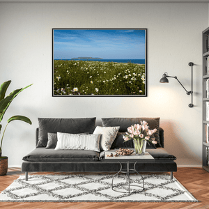 Nua Photography Print Lambay Island View Through Summer Daisy Meadow, Portrane Co. Dublin Lambay Island Daisy Meadow Portrane | Nua Photography