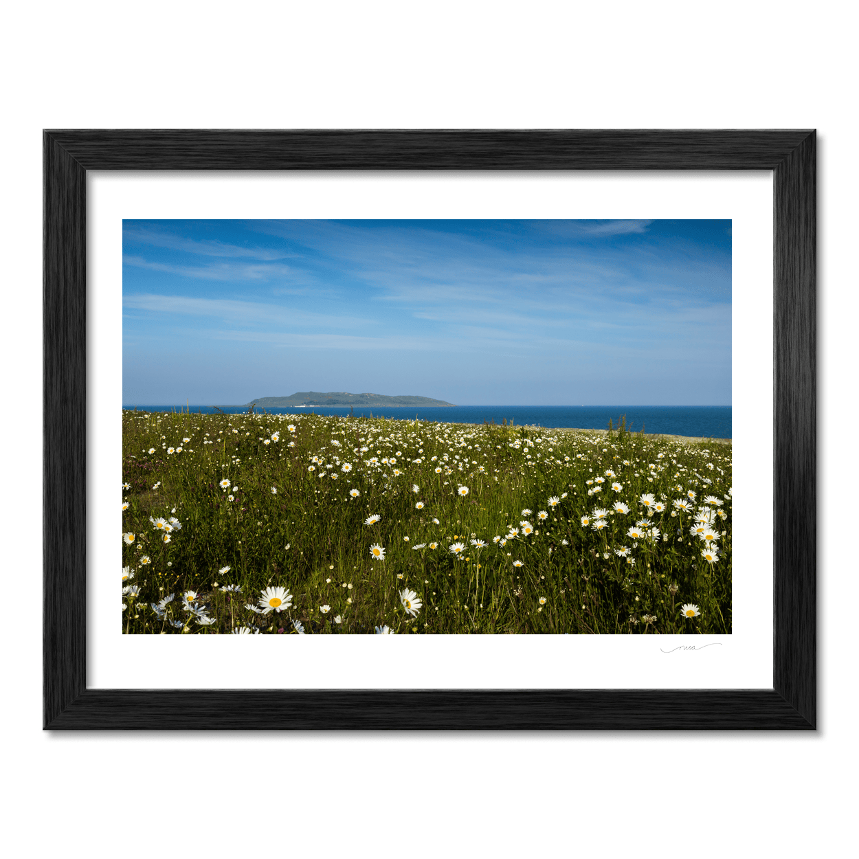 Nua Photography Print Lambay Island View Through Summer Daisy Meadow, Portrane Co. Dublin Lambay Island Daisy Meadow Portrane | Nua Photography