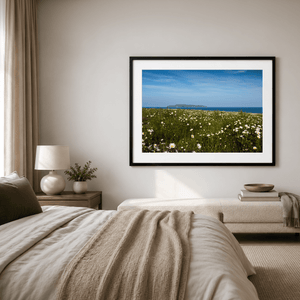 Nua Photography Print Lambay Island View Through Summer Daisy Meadow, Portrane Co. Dublin Lambay Island Daisy Meadow Portrane | Nua Photography