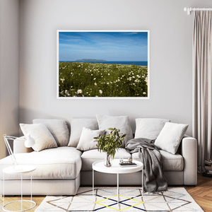 Nua Photography Print Lambay Island View Through Summer Daisy Meadow, Portrane Co. Dublin Lambay Island Daisy Meadow Portrane | Nua Photography