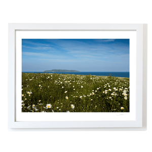 Nua Photography Print Lambay Island View Through Summer Daisy Meadow, Portrane Co. Dublin Lambay Island Daisy Meadow Portrane | Nua Photography