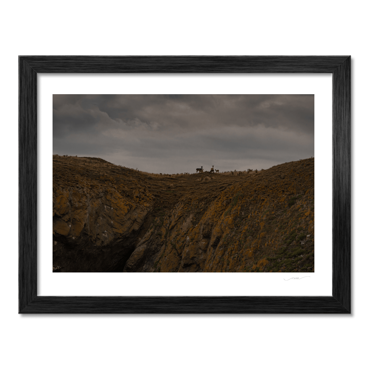 lambay-island-deer-herd-moody-sky PM