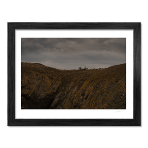 lambay-island-deer-herd-moody-sky BF