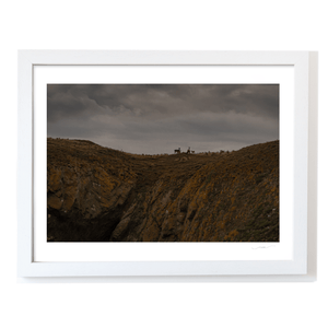 lambay-island-deer-herd-moody-sky WF