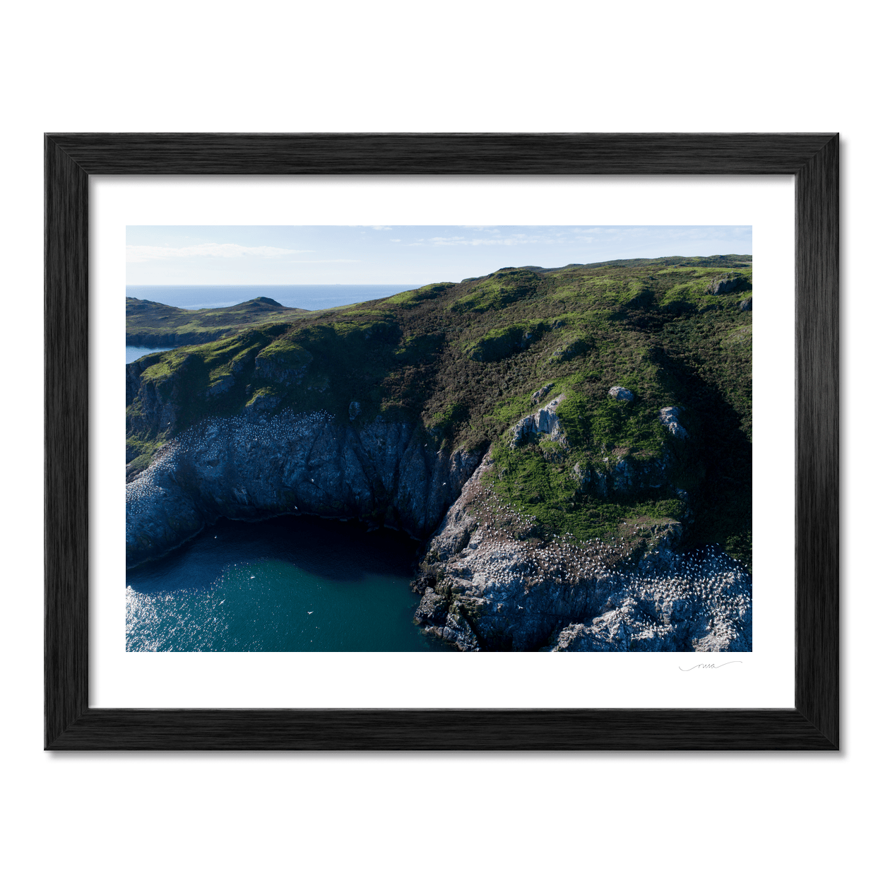lambay-island-gannet-colony-sea-cliffs-aerial PM