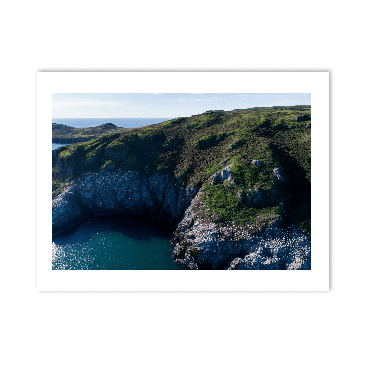 lambay-island-gannet-colony-sea-cliffs-aerial PM