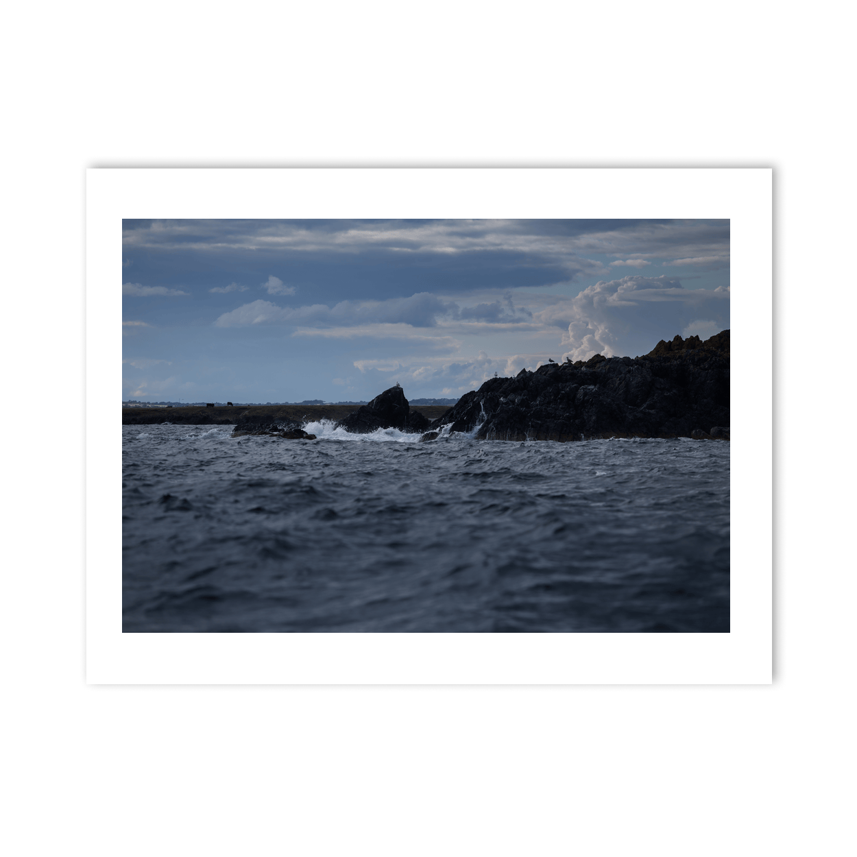 lambay-island-rocky-shore-seabirds-waves PM