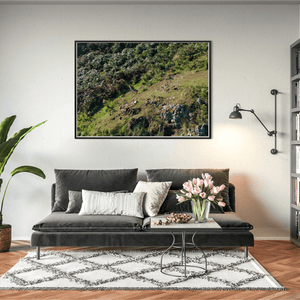 Nua Photography Print Wild Wallaby on Lambay Island Hillside, Rush Co. Dublin Wild Wallaby on Lambay Island Hillside Print | Nua Photography