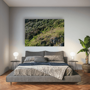 Nua Photography Print Wild Wallaby on Lambay Island Hillside, Rush Co. Dublin Wild Wallaby on Lambay Island Hillside Print | Nua Photography