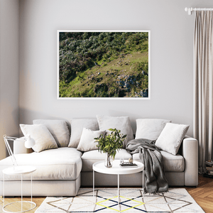 Nua Photography Print Wild Wallaby on Lambay Island Hillside, Rush Co. Dublin Wild Wallaby on Lambay Island Hillside Print | Nua Photography