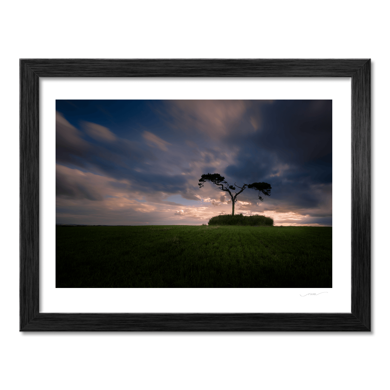 lone-pine-tree-ancient-mound-sunset PM