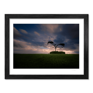 lone-pine-tree-ancient-mound-sunset BF