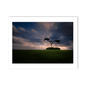 lone-pine-tree-ancient-mound-sunset PM