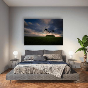 lone-pine-tree-ancient-mound-sunset Pano