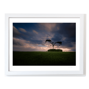 lone-pine-tree-ancient-mound-sunset WF