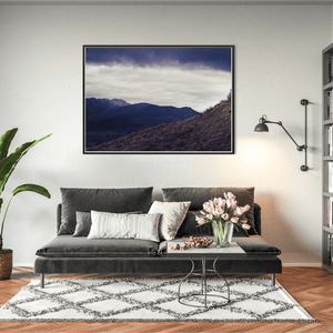 lone-sheep-cooley-mountains-dramatic-sky BFW