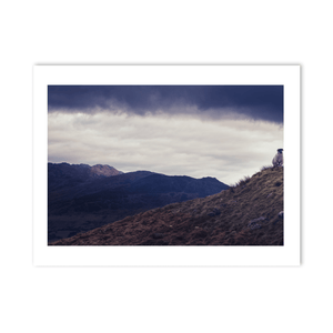 lone-sheep-cooley-mountains-dramatic-sky PM