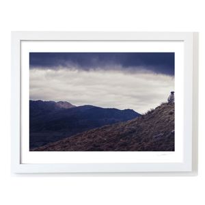 lone-sheep-cooley-mountains-dramatic-sky WF