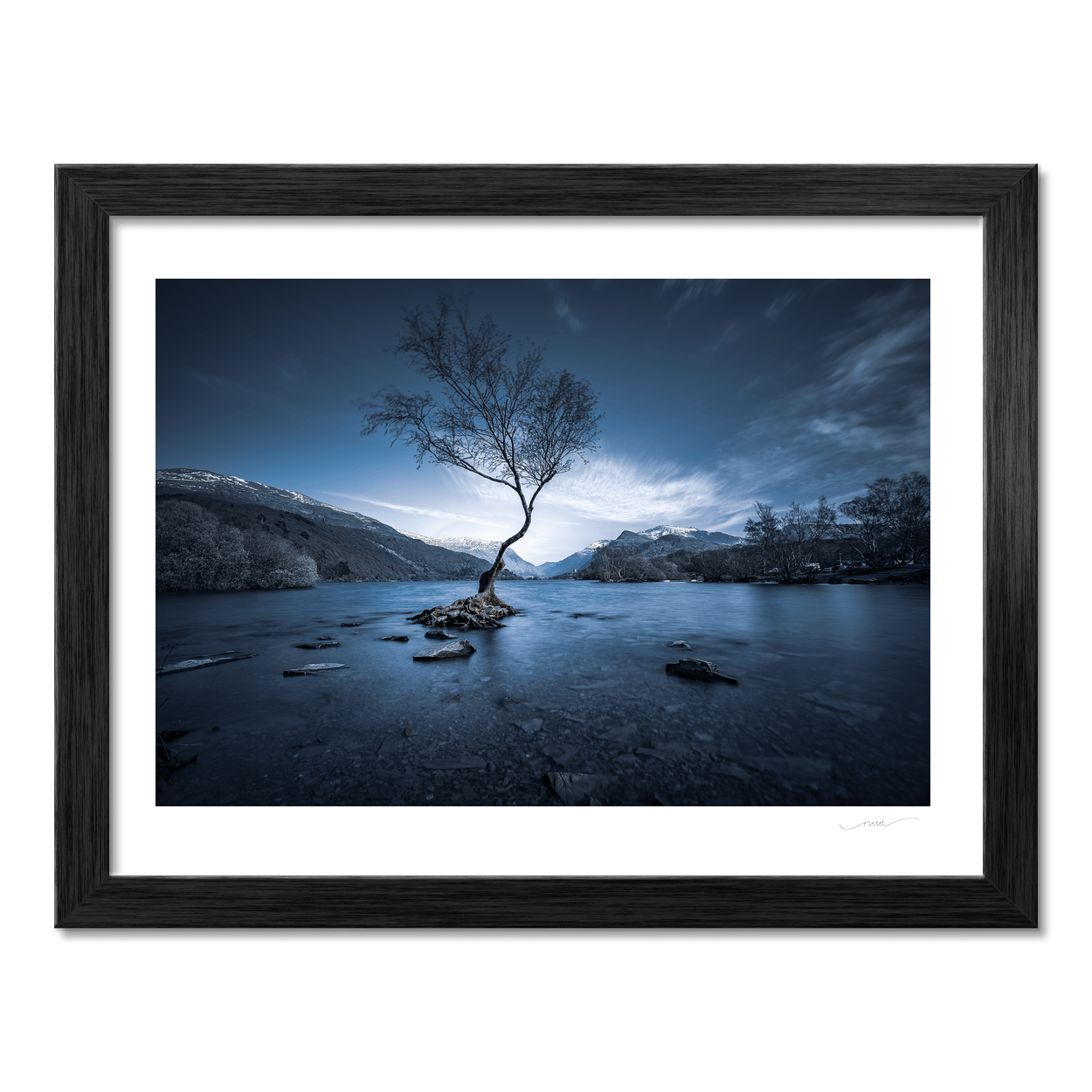 Nua Photography Print The Lone Tree of Llyn Padarn at Blue Hour, Snowdonia Wales Lone Tree Llyn Padarn Snowdonia Wales Print | Nua Photography