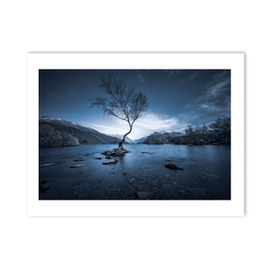Nua Photography Print The Lone Tree of Llyn Padarn at Blue Hour, Snowdonia Wales Lone Tree Llyn Padarn Snowdonia Wales Print | Nua Photography