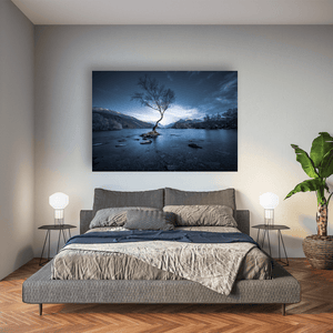Nua Photography Print The Lone Tree of Llyn Padarn at Blue Hour, Snowdonia Wales Lone Tree Llyn Padarn Snowdonia Wales Print | Nua Photography