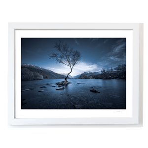 Nua Photography Print The Lone Tree of Llyn Padarn at Blue Hour, Snowdonia Wales Lone Tree Llyn Padarn Snowdonia Wales Print | Nua Photography