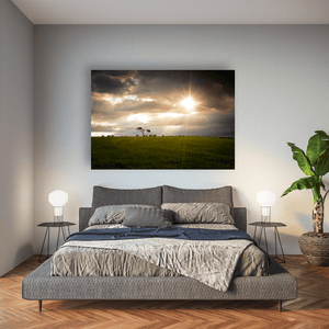 lone-tree-sheep-grazing-dramatic-sunset Pano