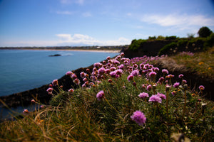 looking back to the North Beach, limited 16 x 12 inch Nua Photography print