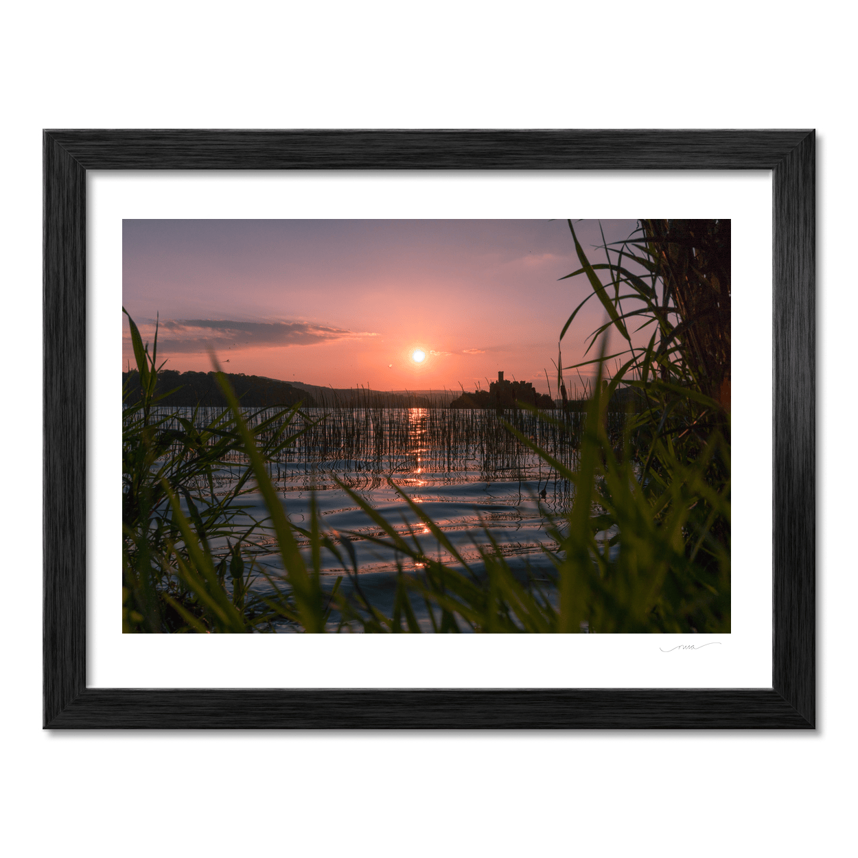 lough-key-castle-island-sunset-reeds-2 PM