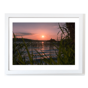 lough-key-castle-island-sunset-reeds-2 WF