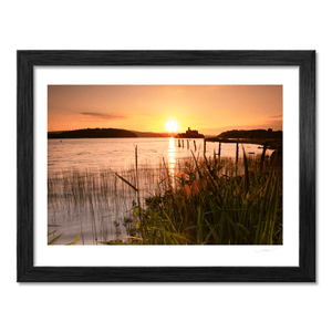 lough-key-castle-island-sunset-reeds BF