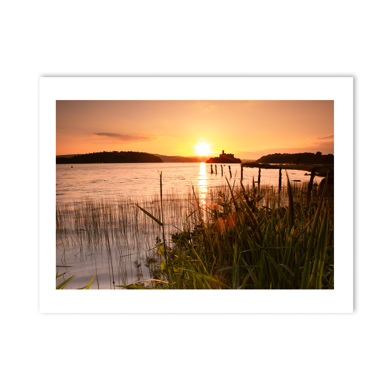 lough-key-castle-island-sunset-reeds PM