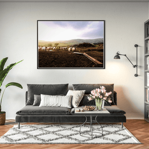 louth-sheep-flock-golden-hour-hills BFW