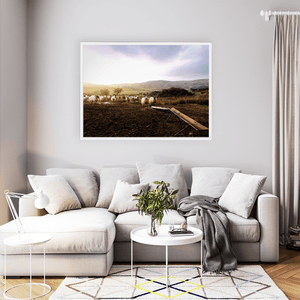 louth-sheep-flock-golden-hour-hills WFW
