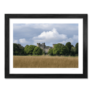Nua Photography Print Malahide Castle Rising Above Summer Meadow, Co. Dublin Malahide Castle Summer Meadow Print | Nua Photography