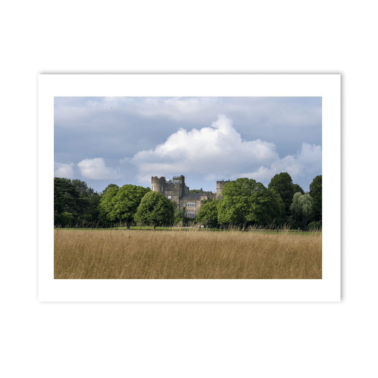 Nua Photography Print Malahide Castle Rising Above Summer Meadow, Co. Dublin Malahide Castle Summer Meadow Print | Nua Photography
