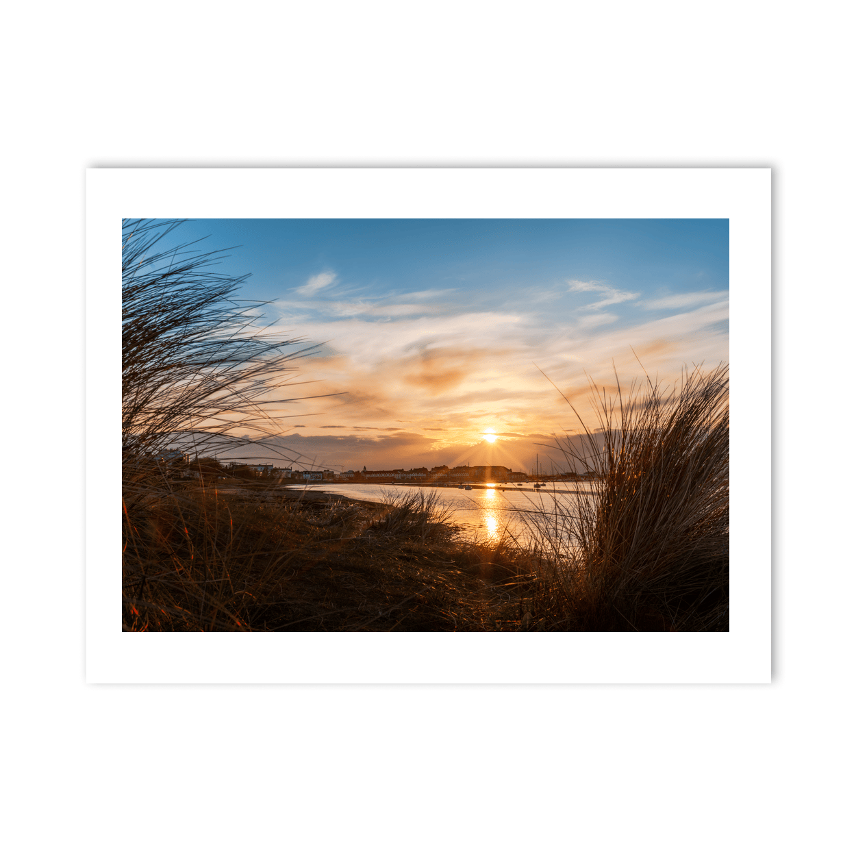 Nua Photography Print Malahide Marina Sunset Through Dune Grass, Co. Dublin Malahide Marina Sunset Print | Nua Photography